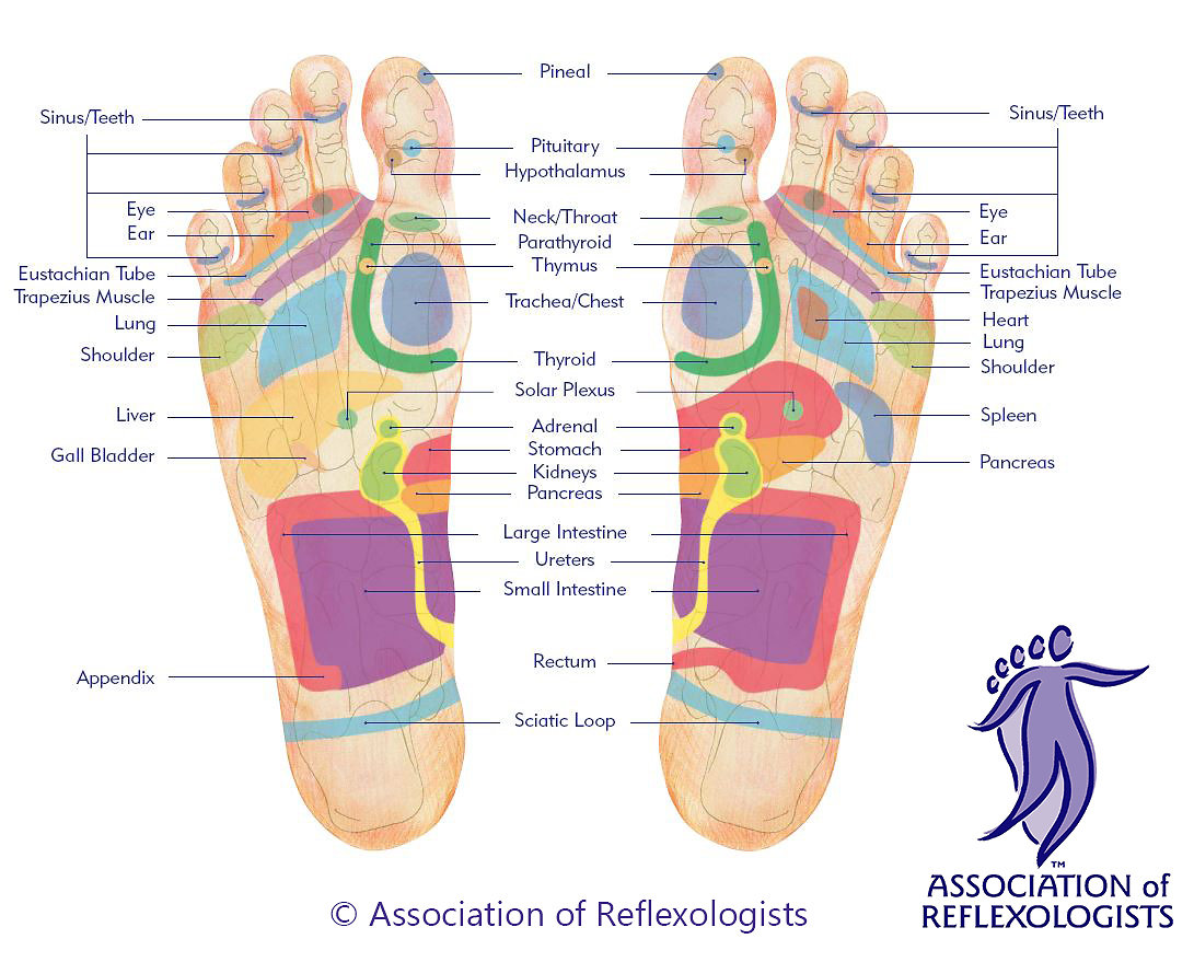 new footmap